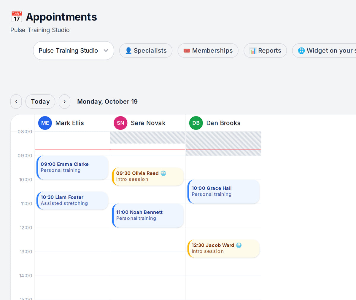 Booking journal of a training studio: a column per trainer with personal training and intro sessions by time